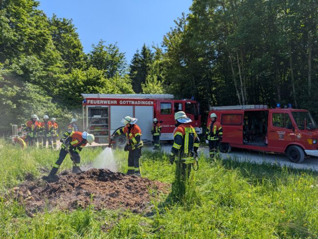 B1Flaechenbrand